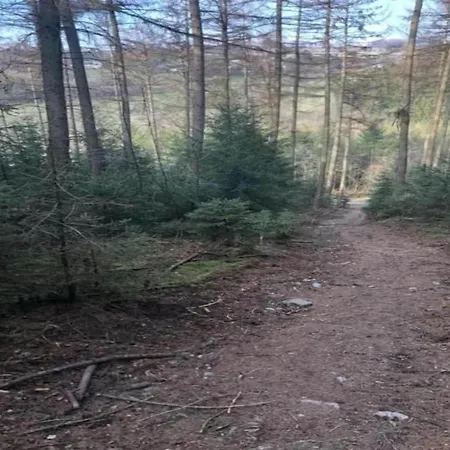 Domek alpejski In Forested Sourbrodt, Cleaning Included