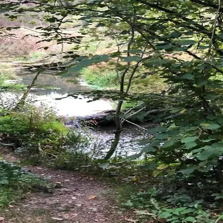 In Forested Sourbrodt, Cleaning Included *