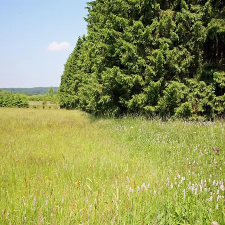 In Forested Sourbrodt, Cleaning Included 木屋 *
