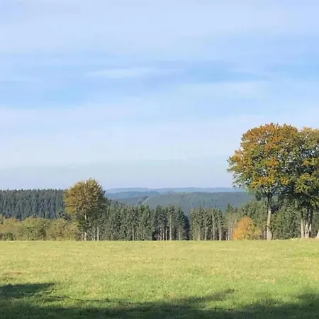 In Forested Sourbrodt, Cleaning Included